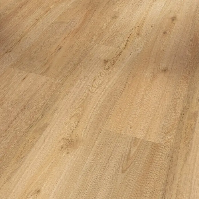 Parador Vinylbodenmuster Basic 5.3 Eiche Natur - 200 x 225 x 5,3 mm, Landhausdiele - Nahaufnahme eines hellen Laminatbodens, der die natürliche Holzstruktur und warme Farbgebung hervorhebt. Ideal für moderne Wohnräume.