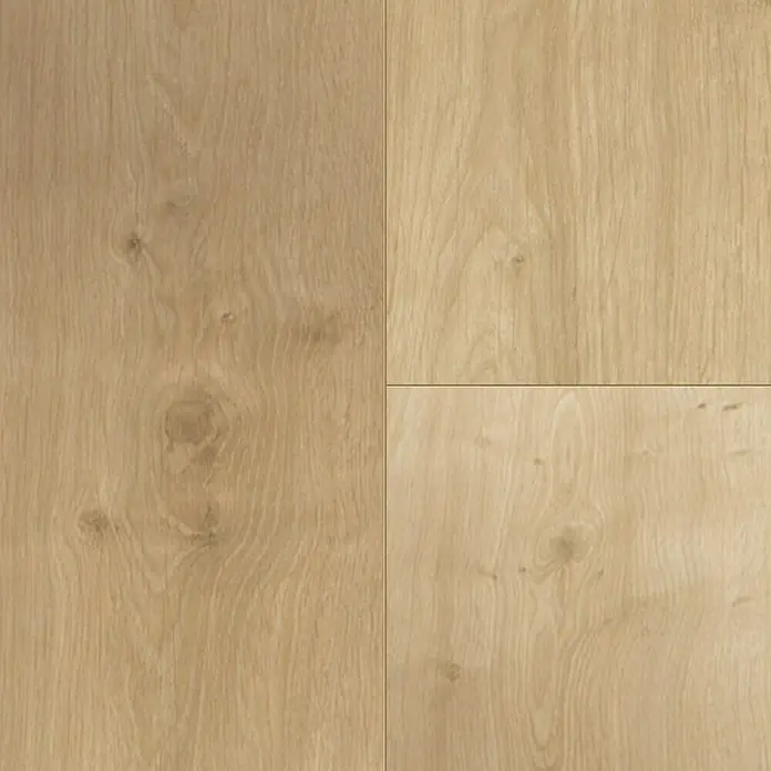 Parador Laminat Basic 400 - Eiche geschliffen, Landhausdiele, 1.285 x 194 x 8 mm - Nahaufnahme eines hellbraunen Holzfußbodens mit sichtbarer Maserung, der eine natürliche und warme Atmosphäre erzeugt.