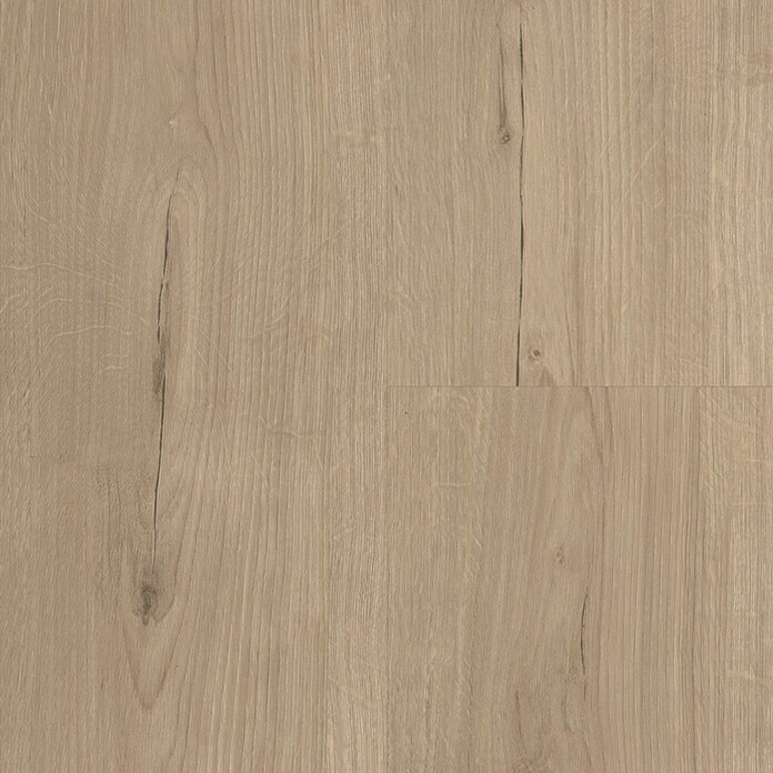 Parador Vinylboden Basic 30 Eiche Infinity Grau (1.207 x 216 x 9,4 mm, Landhausdiele, Eiche Infinity Grau) | BAUHAUS