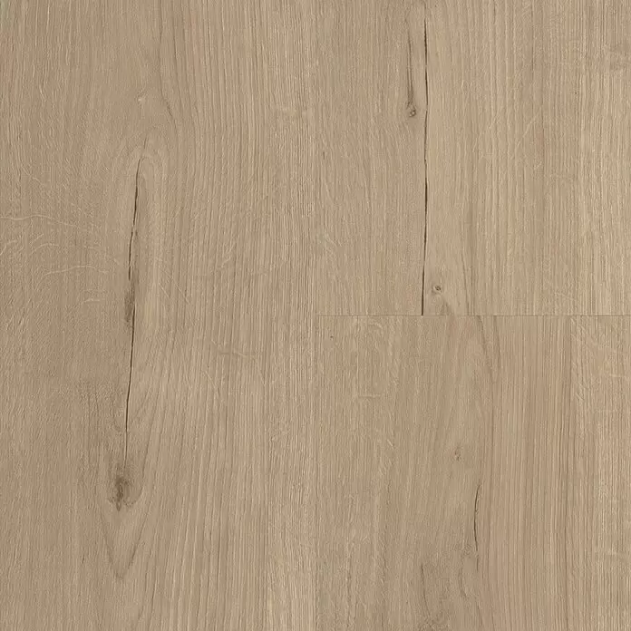 Parador Vinylbodenmuster Basic 30 Eiche Infinity Grau - 200 x 216 x 9,4 mm, Landhausdiele - Draufsicht