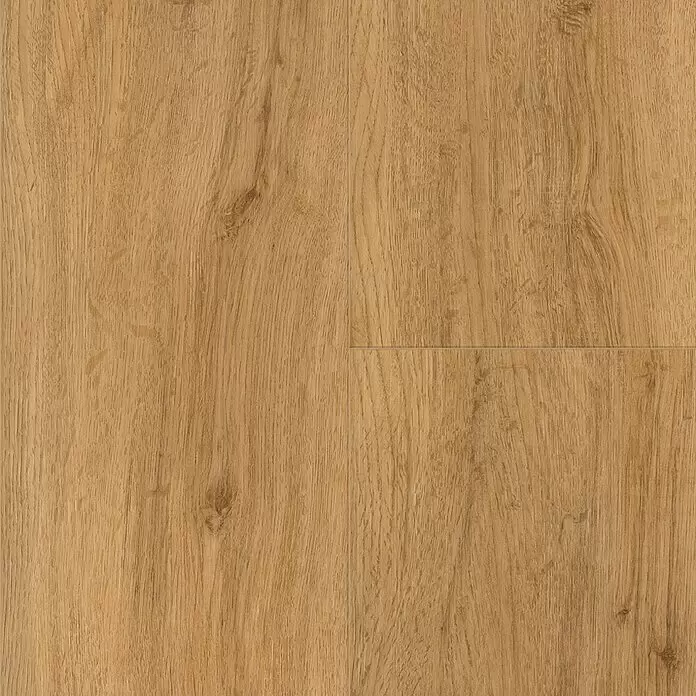 Parador Vinylbodenmuster Basic 5.3 Eiche Sierra Natur - 200 x 225 x 5,3 mm, Landhausdiele - Draufsicht