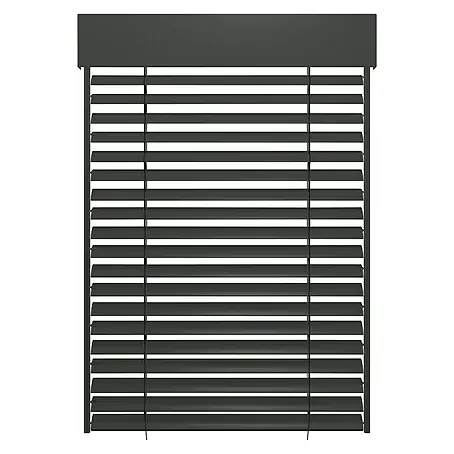 Schellenberg  Raffstore Express