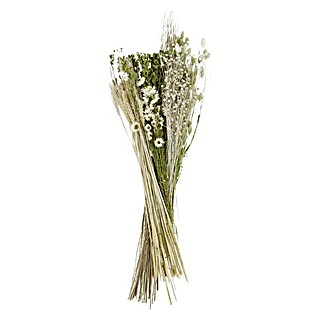 Ramo de flores secas (Blanco, Largo: 80 cm)
