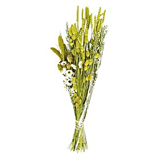 Ramo de flores secas (Amarillo, Largo: 60 cm)