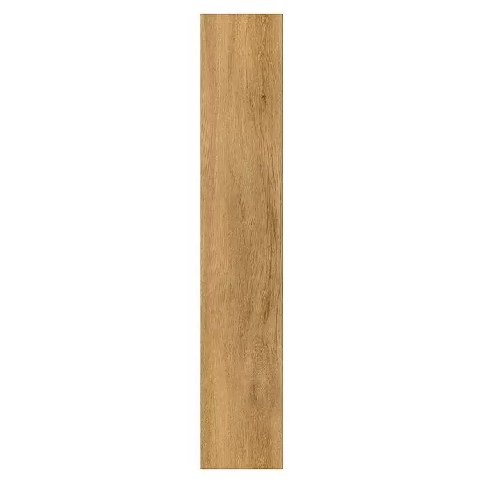Parador Vinylbodenmuster Basic 5.3 Eiche Sierra Natur - 200 x 225 x 5,3 mm, Landhausdiele - Draufsicht