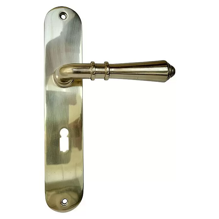 Deurkruk WC 63/8 mm Oud Hollands (Messing, Zilver) | BAUHAUS, image size:696x696