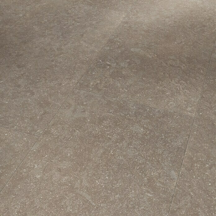 Parador Laminat Trendtime 5 Granit perlgrau (853 x 400 x 8 mm, Fliese) | BAUHAUS