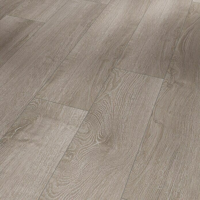 Parador Laminatmuster Basic 200 Eiche lichtgrau (200 x 194 x 7 mm, Landhausdiele) | BAUHAUS