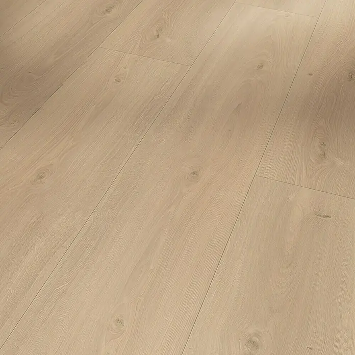 Parador Laminatmuster Basic 600 Eiche Avant geschliffen - 200 x 243 x 8 mm, Landhausdiele - Helle Holzfußböden mit sichtbarer Maserung, ideal für ein modernes, minimalistisches Interieur. Perfekt für Wohn- und Schlafräume.