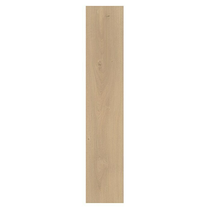 Parador Laminat Basic 600 Eiche Avant geschliffen (1.285 x 243 x 8 mm, Landhausdiele, Eiche Avant geschliffen) | BAUHAUS