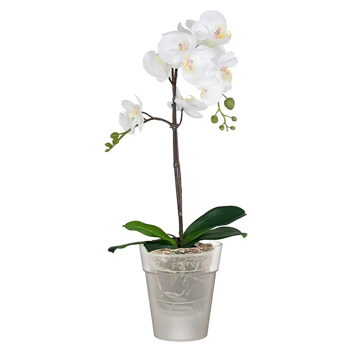 Artevasi Capri Orchideentopf - Außenmaß (Ø x H): 13,7 x 15 cm, Kunststoff, Transparent - Elegante weiße Orchidee im Topf. Die Kunstblume ist eine perfekte und pflegeleichte Dekoration für jedes Zuhause und jeden Bürobereich.