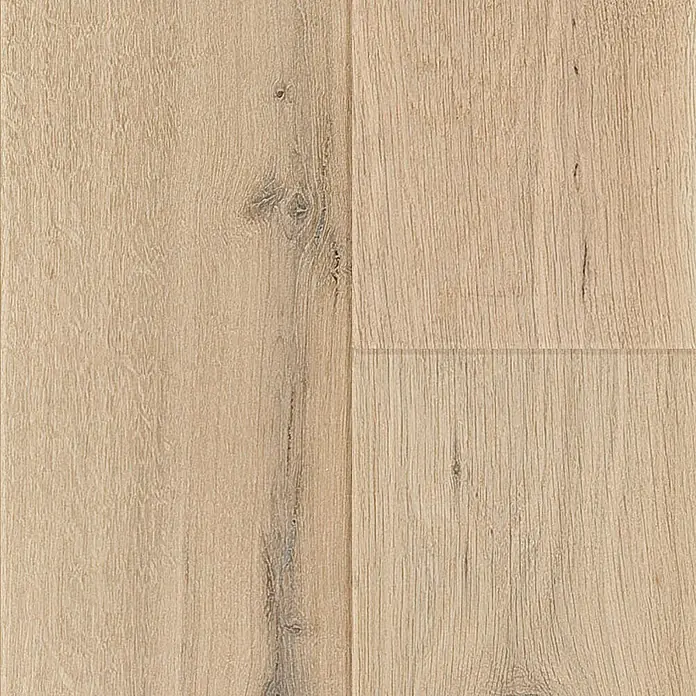 Parkett - Eiche Weiß geölt, Landhausdiele, 2.200 x 180 x 14 mm - Nahaufnahme von hellem Parkettboden mit natürlicher Holzmaserung und Astlöchern, ideal für ein warmes, einladendes Ambiente.