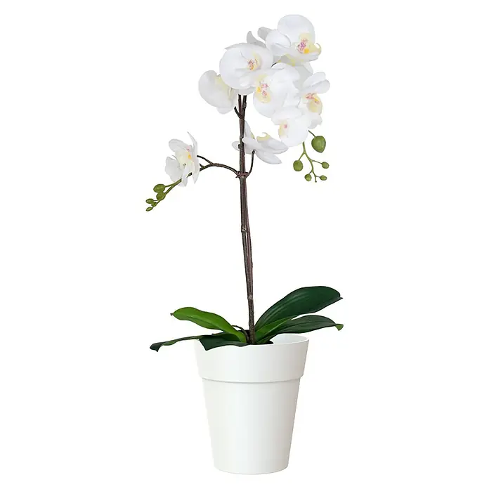 Artevasi Capri Orchideentopf - Außenmaß (Ø x H): 13,7 x 15 cm, Kunststoff, Weiß - Elegante weiße Orchidee in einem schlichten weißen Topf. Perfekt für stilvolle Akzente in jedem Raum und eine zeitlose Dekoration.