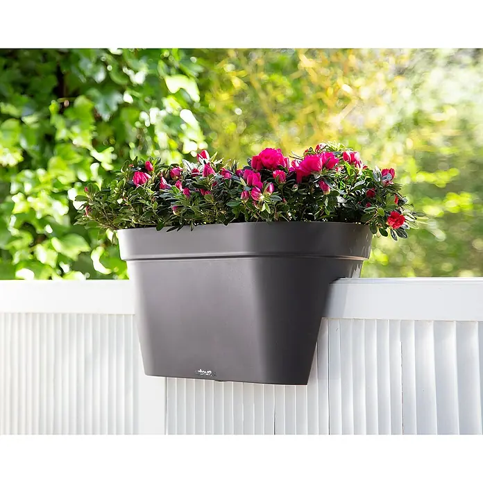 Artevasi Capri Geländerkasten - Außenmaß (L x B x H): 60 x 30 x 30 cm, Kunststoff, Anthrazit - Nahaufnahme eines grauen Balkonkastens mit üppigen rosa Blüten, der an einem weißen Zaun hängt und eine grüne Kulisse bietet.