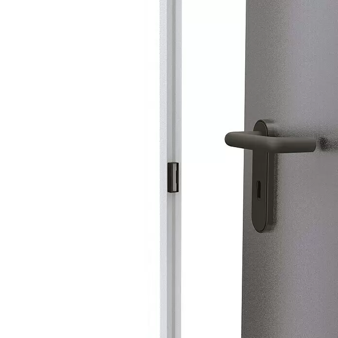 Padilla ZK-Element Classic Plus - 87,5 x 200 cm, DIN Anschlag: Links, Verzinkt - Offene graue Tür mit schwarzem Griff und Schlüsselloch.