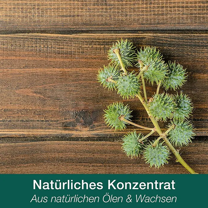 Bona Home Hartwachsöl - 750 ml - Natürliches Konzentrat aus natürlichen Ölen und Wachsen. Ein Zweig mit grünen, stacheligen Früchten liegt auf einer Holzoberfläche.