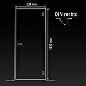 Diamond Doors Glasdrehtür 596 (834 x 1.972 mm, DIN Anschlag: Rechts, Milchglas) | BAUHAUS