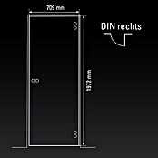 Diamond Doors Glasdrehtür 559 (709 x 1.972 mm, DIN Anschlag: Rechts, Milchglas) | BAUHAUS