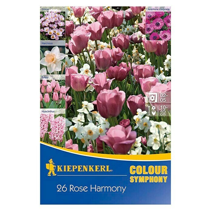 Kiepenkerl Frühlingsblumenzwiebeln Rose Harmony26 Stk., Roseharmony Front View