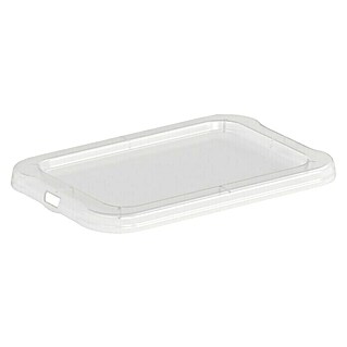 Rotho Clear Box-Deckel (Passend für: Rotho Clear Boxen 1,2 l, L x B x H: 17,9 x 12,2 x 1,1 cm, Transparent)