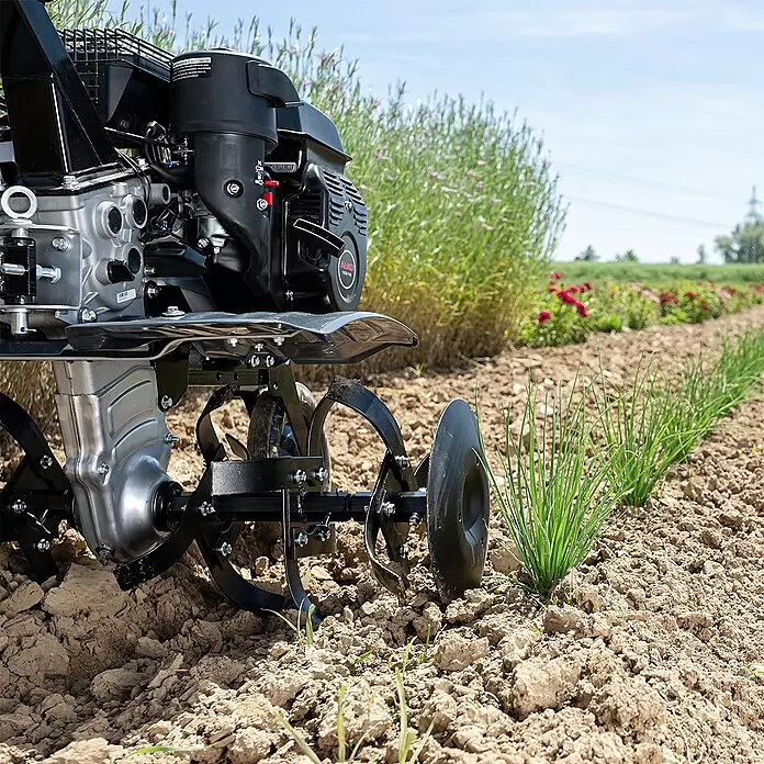 AL-KO Comfort Benzin-Bodenhacke MH 770 - 3,45 kW, 4-Takt - Schwarze und silberne Gartenfräse mit Metallzinken bearbeitet den Boden neben jungen grünen Pflanzen auf einem Feld.