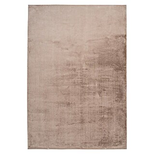 Hochflorteppich Paradise (Taupe, L x B: 230 x 160 cm, 100 % Polyester)
