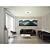 Eglo LED-Deckenleuchte rund Nieves (30,8 W, Ø x H: 51 x 6 cm, Weiß, Weiß, Warmweiß) | BAUHAUS