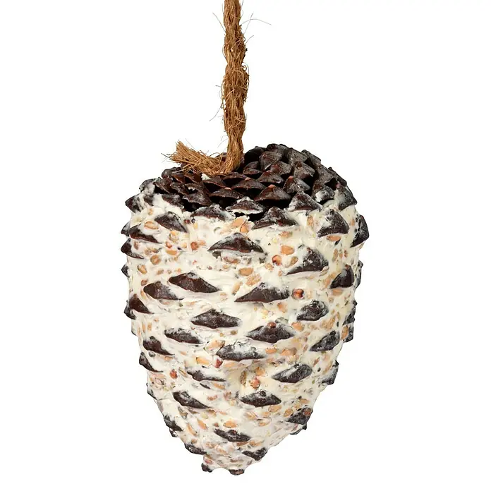 Dobar Wildvogelfutter Set - 8 Stk. - Ein hängender Tannenzapfen-Vogelfutterspender mit Samen und einer Kordel zum Aufhängen. Perfekt für die Fütterung von Wildvögeln.