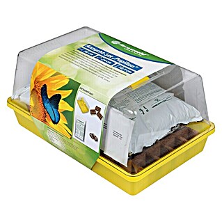 Floraworld Anzucht-Set Papillon (L x B x H: 38 x 24 x 18,5 cm, Gelb, Mit 45 Anzuchttöpfen)