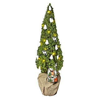 Piardino Pflanzenarrangement mit Deko und Lichtern (Zuckerhutfichte, Bot. Picea conica, 3 l)