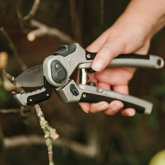 Kent & Stowe Gartenschere Eversharp - Amboss - Nahaufnahme einer Hand, die eine graue Eversharp-Gartenschere zum Beschneiden eines Astes verwendet.