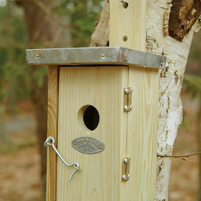 Nestkast Winterkoning met zinken plat dak (11,3 x 13,5 x 25 cm, Lichtbruin) | BAUHAUS
