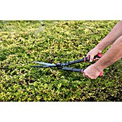 Kreator Cortasetos KRTGR3001 (Longitud de la hoja: 20 cm, Revestimiento de hoja: Recubrimiento antiadherente)