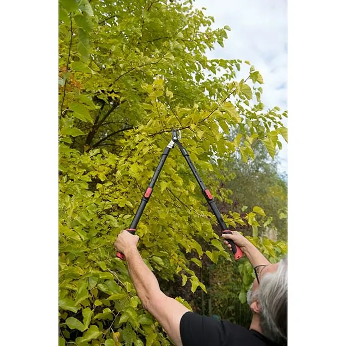 Kreator Cortarramas telescópico KRTGR4003 - Grosor de rama máx.: 34 mm - Persona que usa una podadora de mango largo con mangos negros y detalles rojos para podar eficazmente las ramas de los árboles.