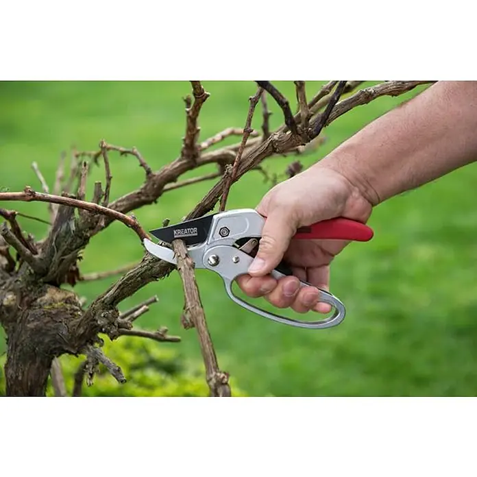 Kreator Tijeras de jardinería Trinquete KRTGR1004 - Bypass, Grosor de rama máx.: 23 mm - Primer plano de una mano podando una rama con tijeras de jardín Kreator. Las tijeras plateadas con mango rojo son afiladas y precisas.