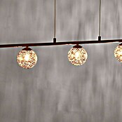 Paul Neuhaus Greta Lámpara colgante (5 luces, 5 x 40 W, G9, Altura: 150 cm)