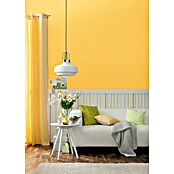 Schöner Wohnen Wandfarbe Trendfarbe (Honey, 2,5 l, Matt)