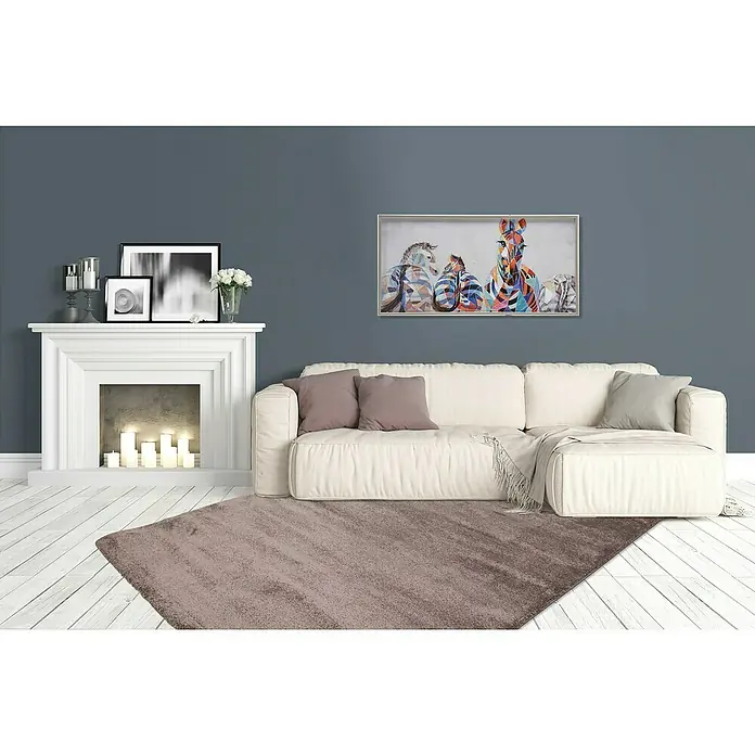 Kurzflorteppich Softtouch - Hellbraun, 150 x 80 cm, 100 % Polypropylen (Flor) - Ein beigefarbener Teppich liegt in einem Wohnzimmer mit weißem Sofa, Kamin und einem bunten Tierbild an der grauen Wand.