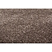 Kurzflorteppich Softtouch (Hellbraun, 150 x 80 cm, 100 % Polypropylen (Flor)) | BAUHAUS