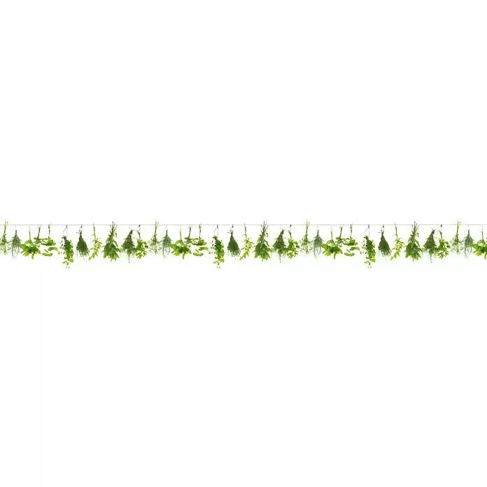 Küchenrückwand WandArt easy - Herbs Line, 200 x 58,5 cm, Stärke: 3 mm, Schichtstoff - Vorderansicht