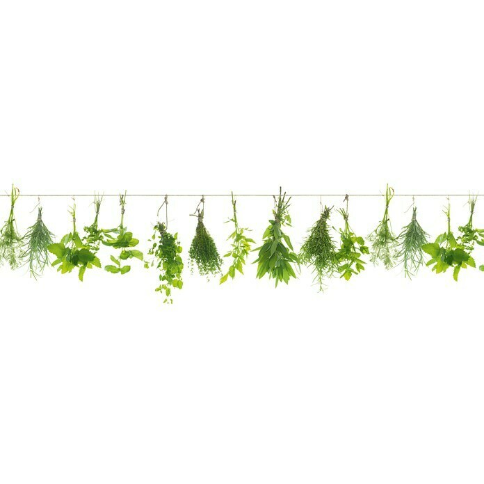 Küchenrückwand WandArt easy (Herbs Line, 80 x 58,5 cm, Stärke: 3 mm, Schichtstoff) | BAUHAUS