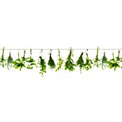 Küchenrückwand WandArt easy (Herbs Line, 80 x 58,5 cm, Stärke: 3 mm, Schichtstoff) | BAUHAUS