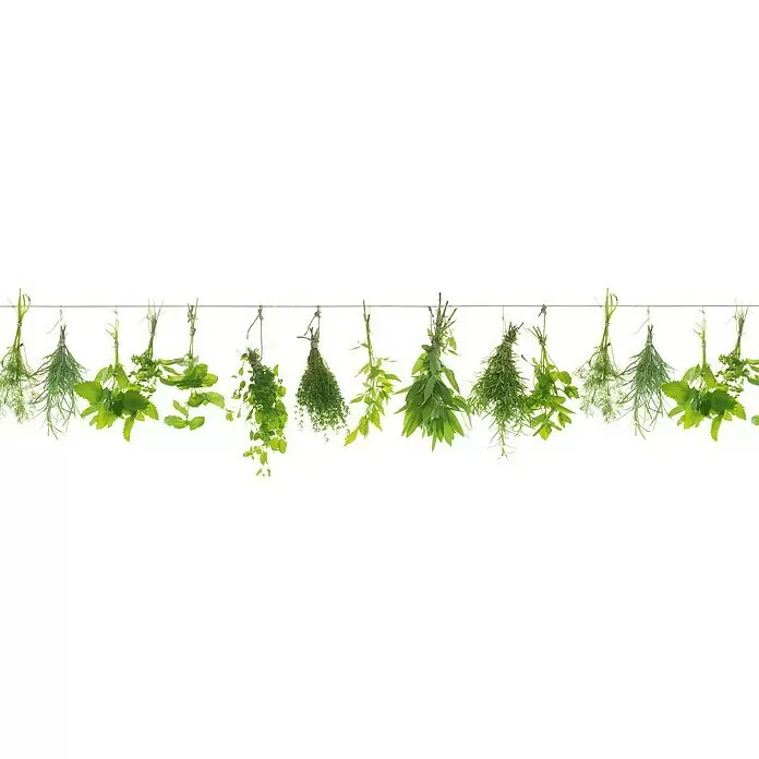 Küchenrückwand WandArt easy - Herbs Line, 80 x 58,5 cm, Stärke: 3 mm, Schichtstoff - Vorderansicht