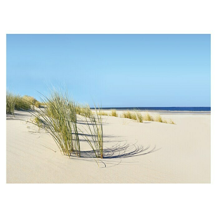 Küchenrückwand WandArt easy (Summer Dune, 80 x 58,5 cm, Stärke: 3 mm, Schichtstoff) | BAUHAUS