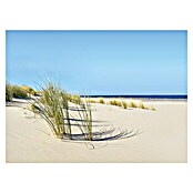 Küchenrückwand WandArt easy (Summer Dune, 80 x 58,5 cm, Stärke: 3 mm, Schichtstoff) | BAUHAUS