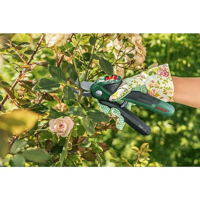 Bosch Akku-Strauchschere EasyPrune - 3,6 V, 1 Akku, Max. Aststärke: 25 mm - Nahaufnahme einer Person, die mit der Bosch EasyPrune Gartenschere Rosen beschneidet, wobei die ergonomischen Griffe und die Präzisionsklingen hervorgehoben werden.