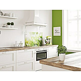 Küchenrückwand WandArt easy (Grass, 80 x 58,5 cm, Stärke: 3 mm, Schichtstoff)