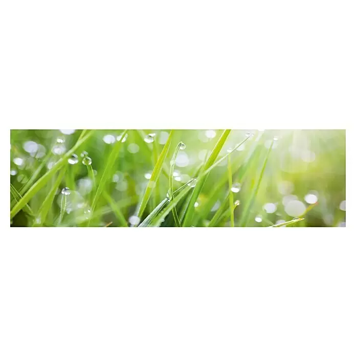 Küchenrückwand WandArt easy - Grass, 200 x 58,5 cm, Stärke: 3 mm, Schichtstoff - Vorderansicht