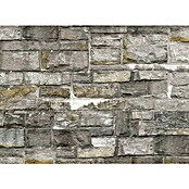 Küchenrückwand WandArt easy (Old Castle Wall, 80 x 58,5 cm, Stärke: 3 mm, Schichtstoff) | BAUHAUS