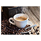 Küchenrückwand WandArt easy (Coffee Beans, 80 x 58,5 cm, Stärke: 3 mm, Schichtstoff) | BAUHAUS